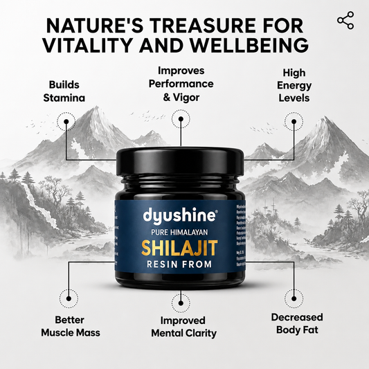 Dyushine Pure Shilajit Resin