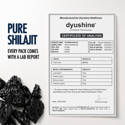 Dyushine Pure Shilajit Resin